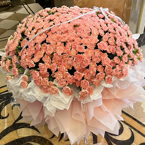 鲜花：谢谢您的爱 520枝粉色康乃馨